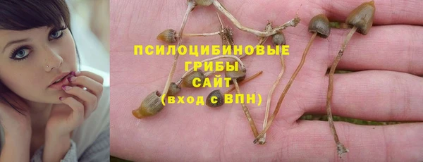 apvp Абинск